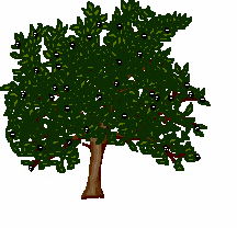 medis animuoti-vaizdai-gif